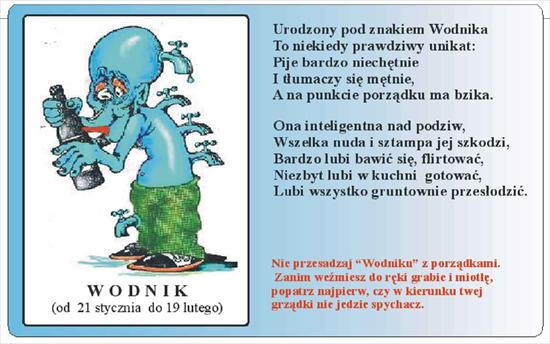 Znaki Zodiaku - wodnik.jpg