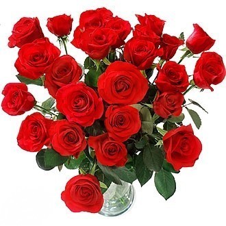 Róże symbol miłości - mediumk0c7sy55481d8282aad2b19219.jpg