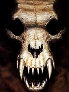 Czachy - Animal_Skull.jpg