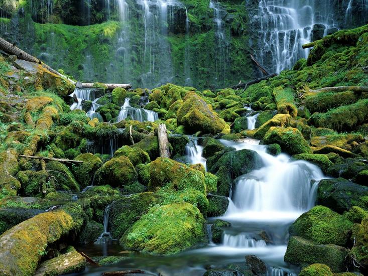 WODOSPADY - Proxy Falls, Cascade Range, Oregon.jpg