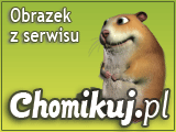 Gify - ptaki - papużki.gif