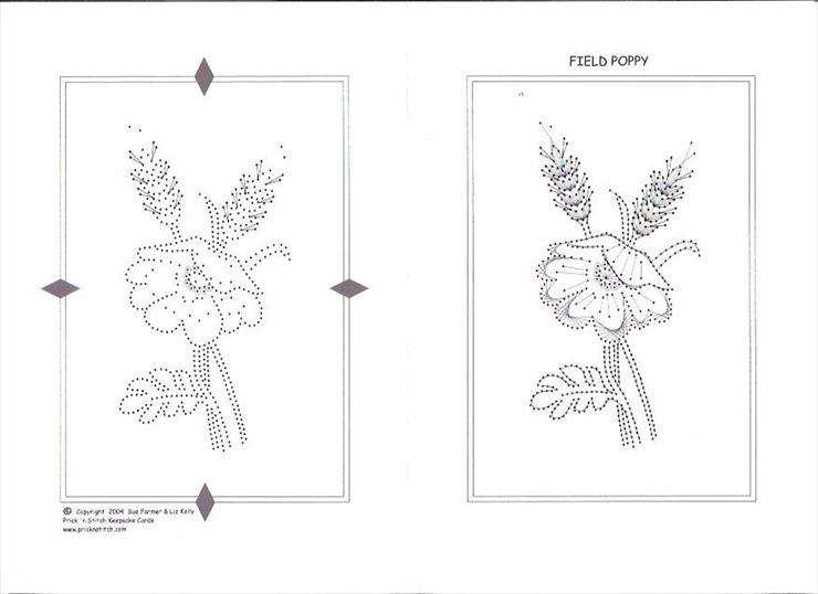kwiaty - field poppy 3.JPG